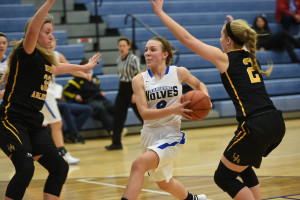 Columbus photographer sports – KILBOURNE vs UA LADY BEARS